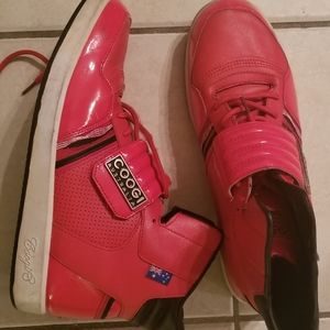 Coogi High Top Sneakers.